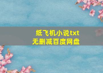 纸飞机小说txt 无删减百度网盘